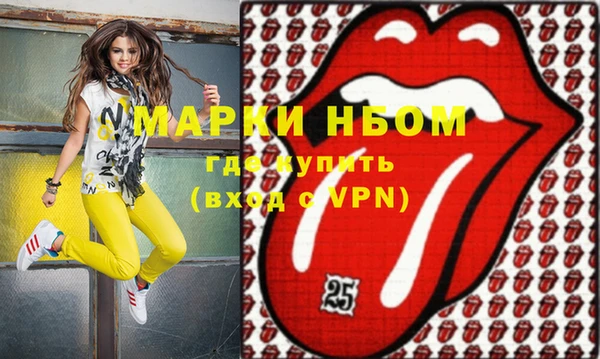сатива Сосновый Бор
