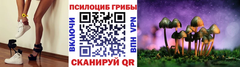 что такое наркотик  Давлеканово  Галлюциногенные грибы Cubensis 